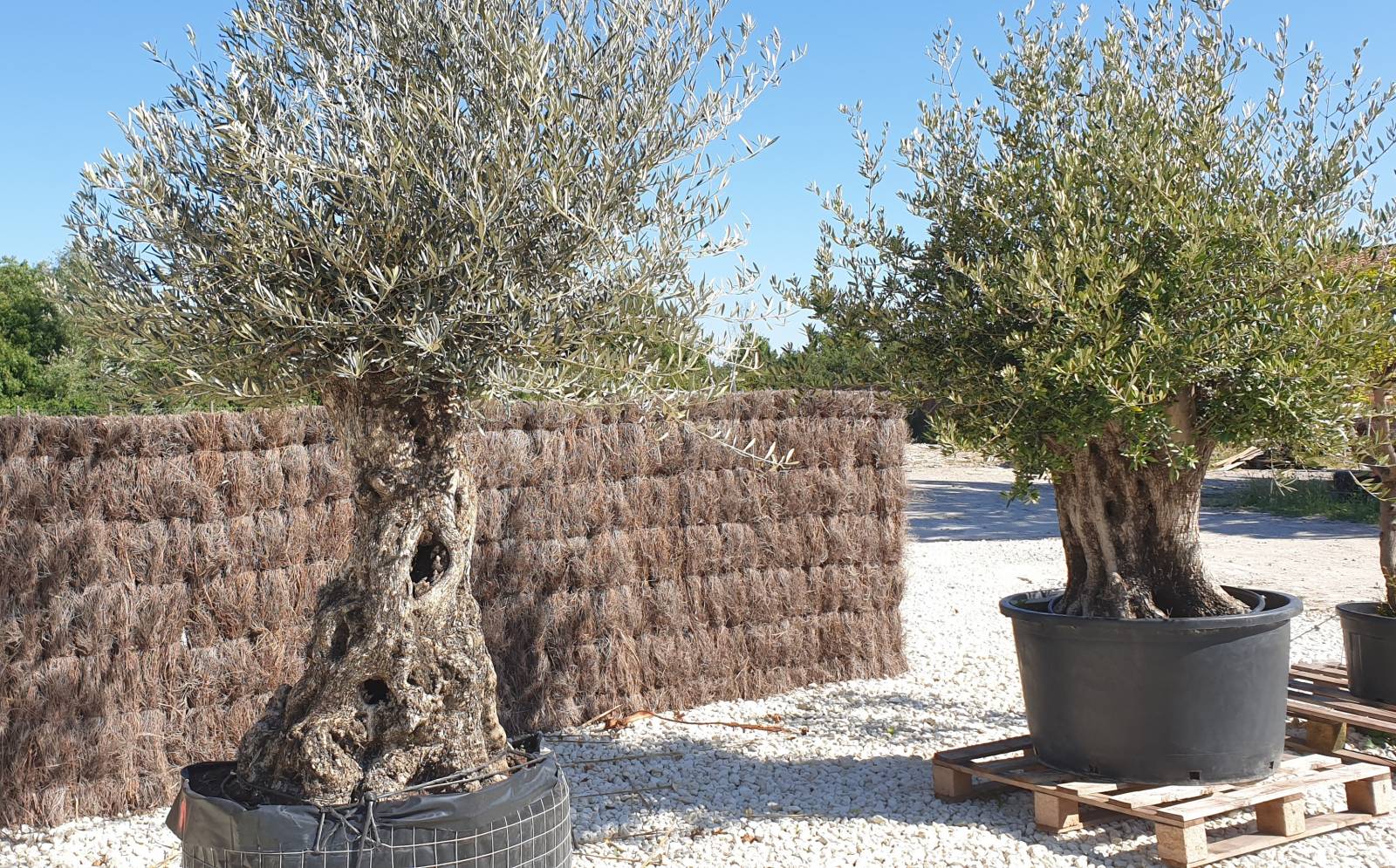 devis pour faire poser une cloture girondine chez soi par un professionnel sur le bassin d arcachon