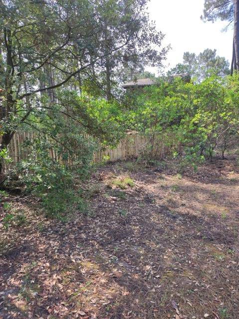 Vente et pose de clôture Ganivelle en acacia pour séparer une maison d'un parking vers Carcans en Gironde