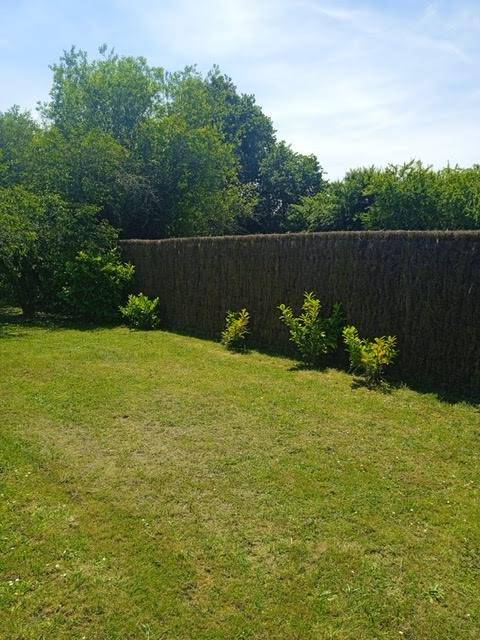 Brande de bruyère 8 cm : Livraison à domicile rapide et prix imbattable en Bretagne avec AQUITAINE CLÔTURE