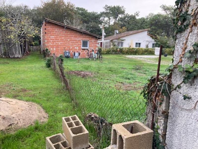 Pose de clôture en brande épaisse sur un grillage existant à Montalivet en Gironde