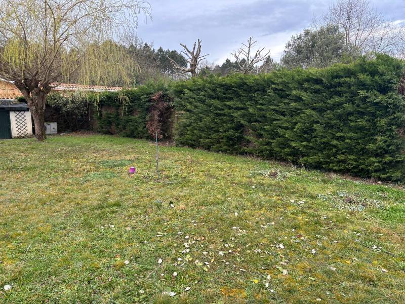 Enlever une haie de jardin à Saint-Médard-en-Jalles pour installer une clôture en brande naturelle 8 cm d'épaisseur avec AQUITAINE CLÔTURE