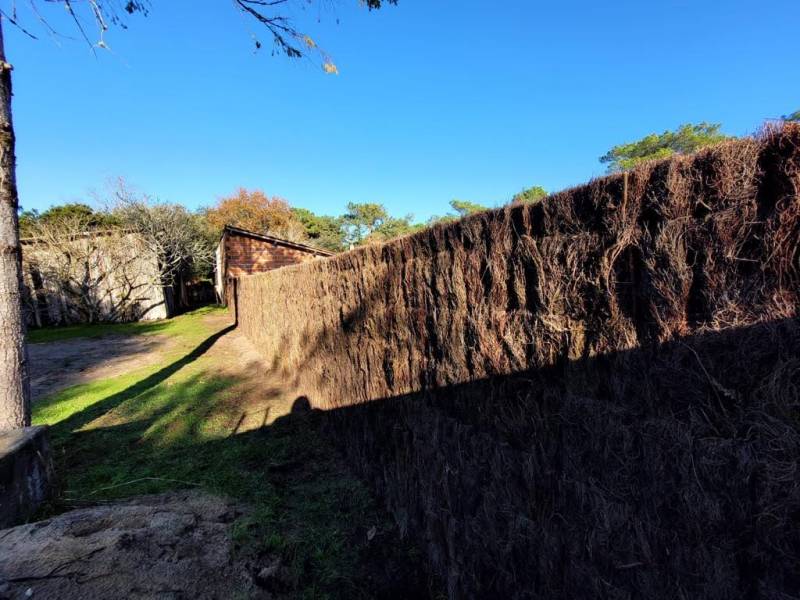 Installation de clôture en brande de bruyère naturelle épaisse Montalivet 33