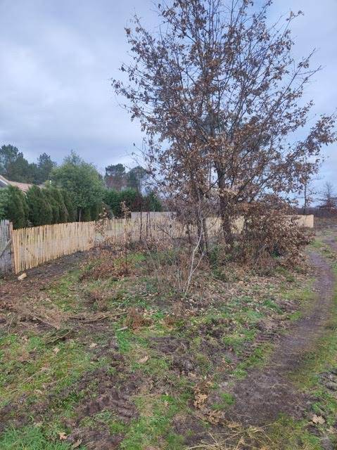 Où acheter des rouleaux de ganivelle en châtaignier à poser sois même dans le Médoc ?