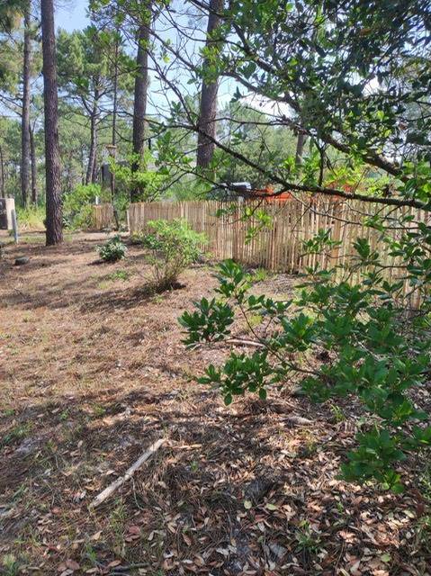 Devis pose de clôture en Ganivelle pour délimiter une propriété vers Carcans 33