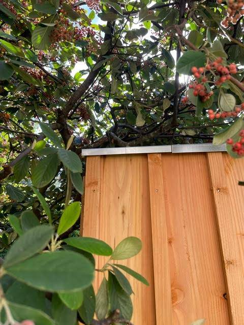Clôture bois volige à Lormont : quels sont les avantages ?