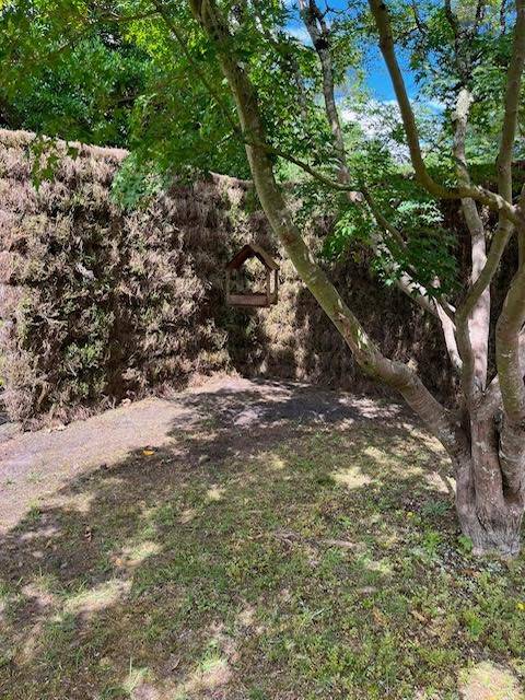 Avant / Après à Pessac (33) : remplacement d'une clôture endommagée par une brande de bruyère naturelle 2,20 m, une réalisation AQUITAINE CLÔTURE