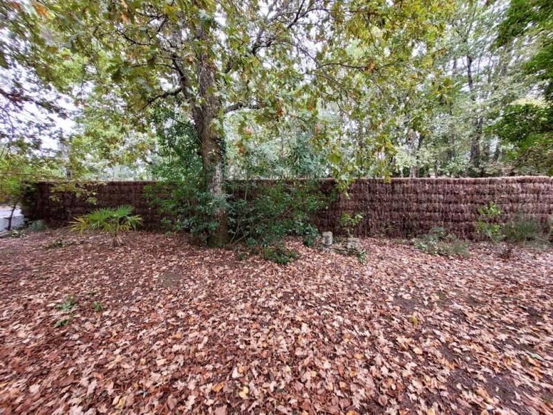 Devis arrachage de haie et pose de clôture en brande naturelle 8cm près de Bordeaux