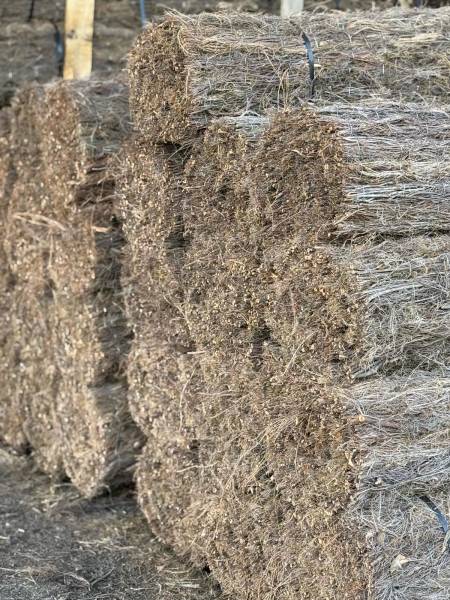 Prix livraison à domicile brande de bruyère rapide et pas cher en rouleau 4cm frais de port inclus France métropolitaine