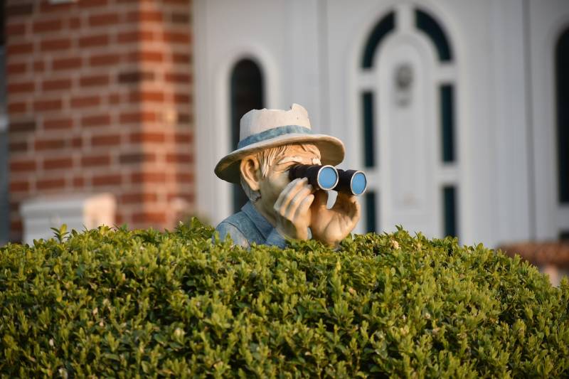 Arrachage de haie de jardin avec installation de clôture en brande sur mesure 8cm vers Saint Médard en Jalles